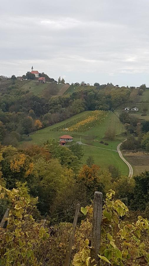 Kuca Za Odmor Nina Villa Sveti Martin Na Muri Esterno foto